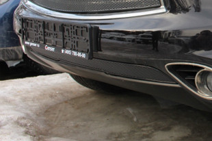 Сетка защитная в бампер Premium черный Strelka INFQX70.FCW.PREMIUM.DT.bot.black: Infiniti FX37 2008-2012 > TUNING`Leader Сетка защитная в бампер Premium черный Strelka Infiniti FX37 2008-2012 > TUNINGLeader.ru