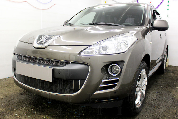 Сетка защитная в бампер Standart черный Strelka Peugeot 4007 2007-2013 Сетка защитная в бампер Standart черный Strelka → PEU4007 :: TUNING`Leader /img1