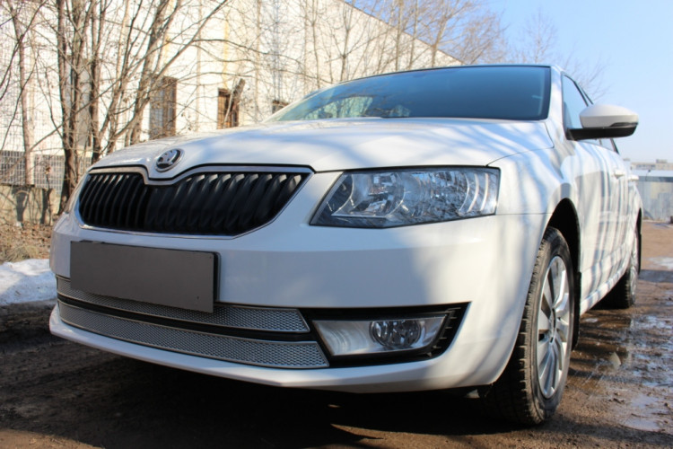 Сетка защитная в бампер (2 элемента) Premium хром Strelka → SKA7.PREMIUM2.chrome :: TUNING`Leader /img1