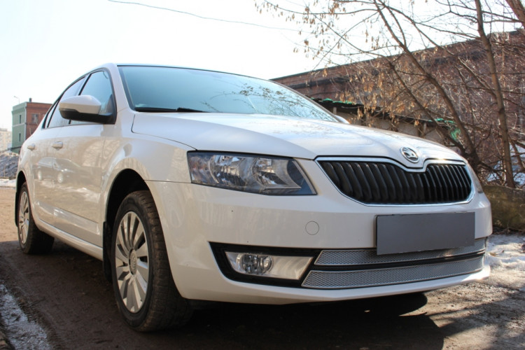 Сетка защитная в бампер (2 элемента) Premium хром Strelka → SKA7.PREMIUM2.chrome :: TUNING`Leader /img2
