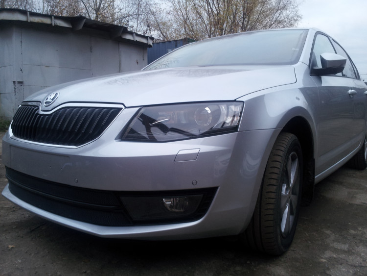 Сетка защитная в бампер (2 элемента) Standart черный Strelka Skoda Octavia III 2013-2017 Сетка защитная в бампер (2 элемента) Standart черный Strelka → SKA7.1.black :: TUNING`Leader /img1