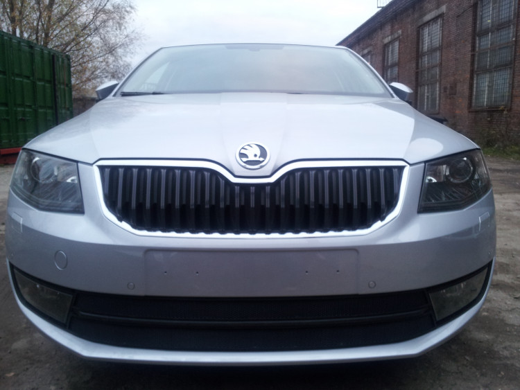 Сетка защитная в бампер (2 элемента) Standart черный Strelka Skoda Octavia III 2013-2017 Сетка защитная в бампер (2 элемента) Standart черный Strelka → SKA7.1.black :: TUNING`Leader /img2