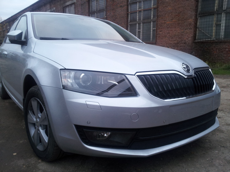 Сетка защитная в бампер (2 элемента) Standart черный Strelka Skoda Octavia III 2013-2017 Сетка защитная в бампер (2 элемента) Standart черный Strelka → SKA7.1.black :: TUNING`Leader /img3