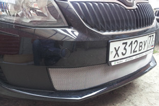 Сетка защитная в бампер Standart хром Strelka SKA7.chrome: Skoda Octavia III Active 2013-2017 > TUNING`Leader Сетка защитная в бампер Standart хром Strelka Skoda Octavia III Active 2013-2017 > TUNINGLeader.ru