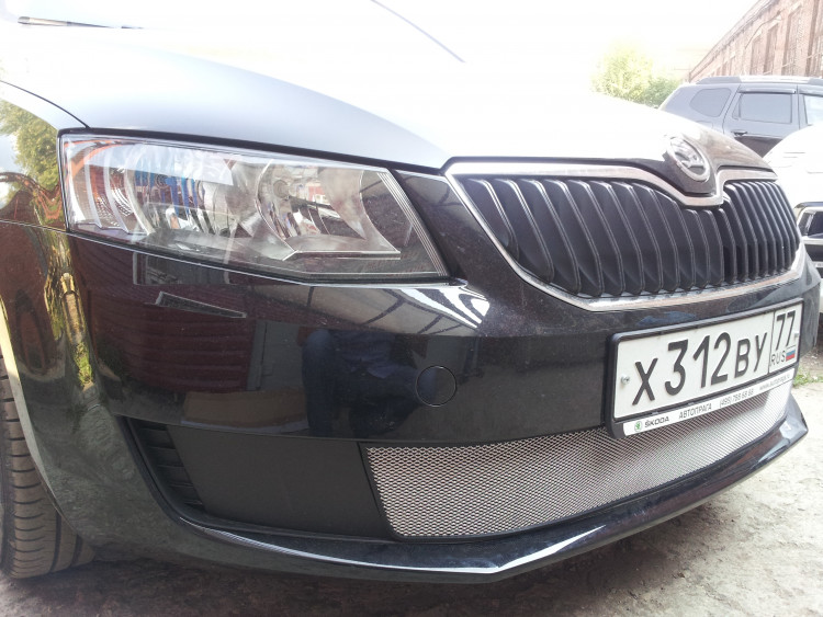 Сетка защитная в бампер Standart хром Strelka Skoda Octavia III Active 2013-2017 Сетка защитная в бампер Standart хром Strelka → SKA7.chrome :: TUNING`Leader /img1