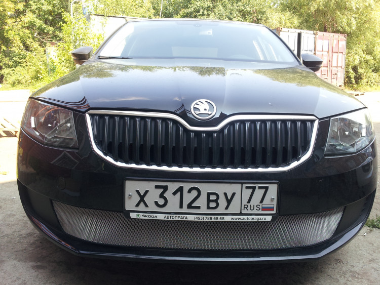 Сетка защитная в бампер Standart хром Strelka Skoda Octavia III Active 2013-2017 Сетка защитная в бампер Standart хром Strelka → SKA7.chrome :: TUNING`Leader /img2