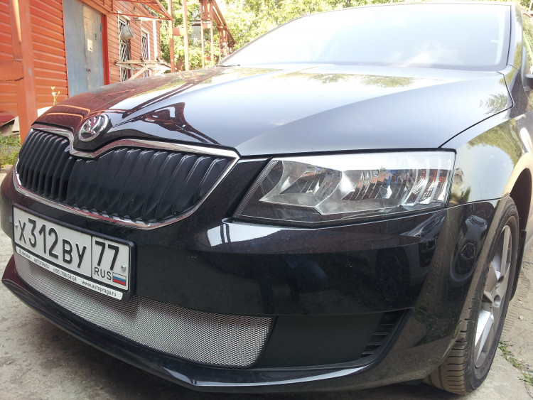 Сетка защитная в бампер Standart хром Strelka Skoda Octavia III Active 2013-2017 Сетка защитная в бампер Standart хром Strelka → SKA7.chrome :: TUNING`Leader /img3