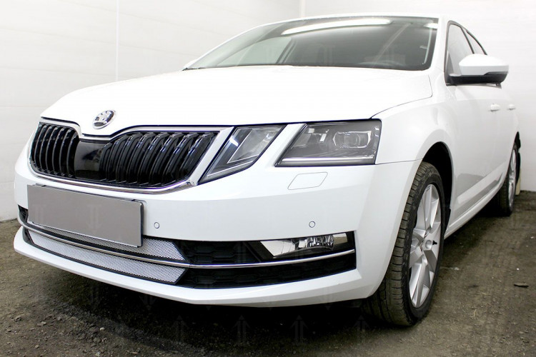 Сетка защитная в бампер Standart хром Strelka Skoda Octavia III FL 2017-2020 Сетка защитная в бампер Standart хром Strelka → SKA7.17.chrome :: TUNING`Leader /img1