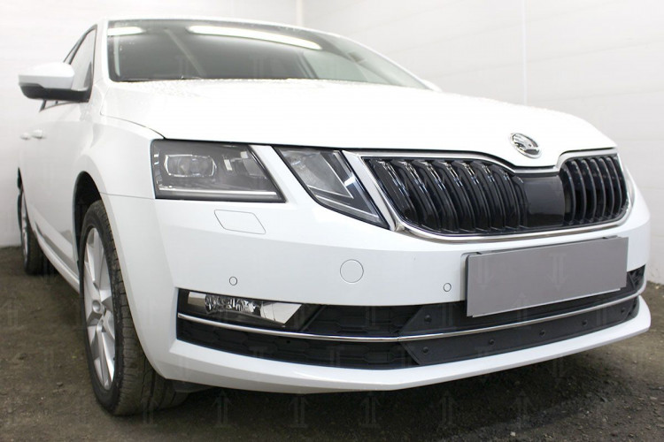 Сетка защитная в бампер зимний пакет Strelka → SKA7.17 :: TUNING`Leader /img10