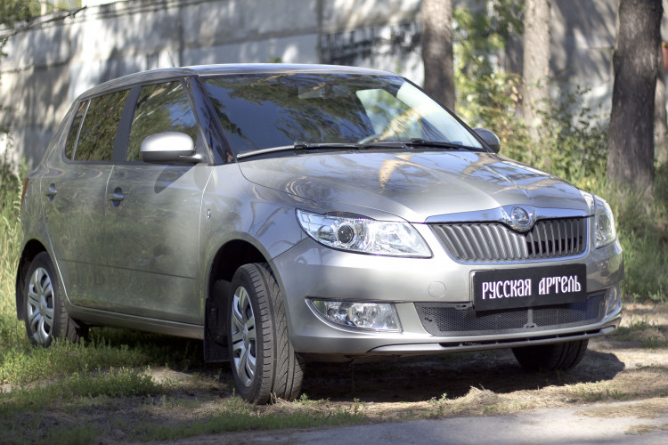 Защитная сетка решетки переднего бампера Русская Артель Skoda Fabia FL 2010-2015 Защитная сетка решетки переднего бампера Русская Артель → SBSF-046702 :: TUNING`Leader /img2