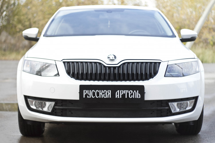 Заглушка зимняя решетки переднего бампера Русская Артель → ZRSO-049702 :: TUNING`Leader /img1