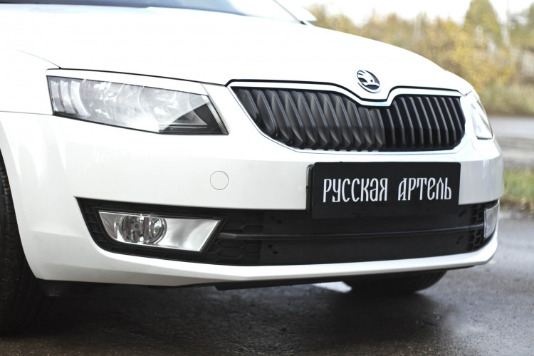 Заглушка зимняя решетки переднего бампера Русская Артель → ZRSO-049702 :: TUNING`Leader /img2