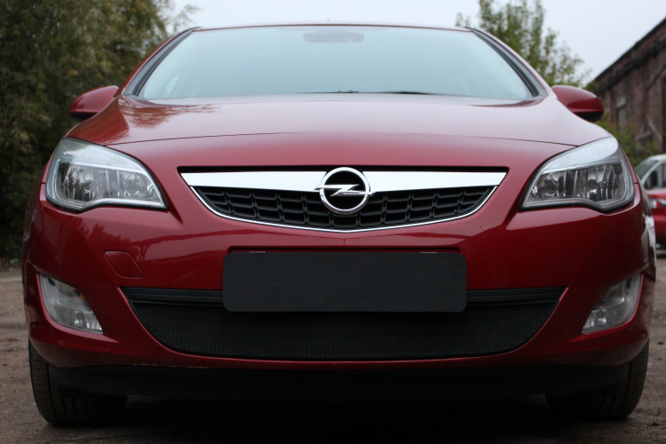 Сетка защитная в бампер Standart черный Strelka → OPAJ10.black :: TUNING`Leader /img3