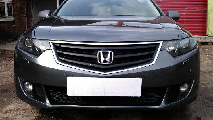 Сетка защитная в бампер Standart черный Strelka → HONAC.black :: TUNING`Leader /img1